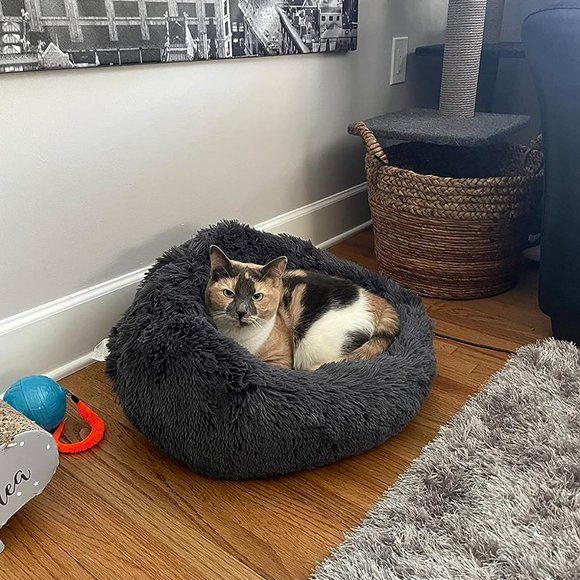 Calming Cat Beds for Indoor Fluffy Plush Faux Fur Pet Washable 20 inches - Picture 6 of 9